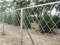 深圳美格网护栏网 山坡防护网隔离网 厂家低价批发