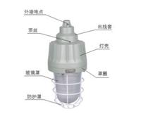 供应  BAD61系列防爆灯