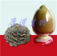 康道生物供灰树花多糖