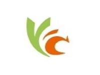 长期供应丝网印刷40克白色单面双面离型纸