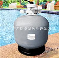厂家直销立式**出过滤砂缸/过滤沙缸