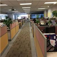 上海进口加拿大菜籽油怎么操作