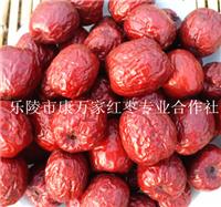 9月山东圆铃枣产地价格走势