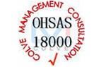 中山OHSAS18001认证