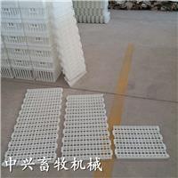 小雏鸡运输笼尺寸 坚固耐用小鸡周转箱生产厂家