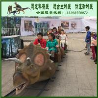 大型恐龙展 互动恐龙租赁 机械恐龙租赁 恐龙出租