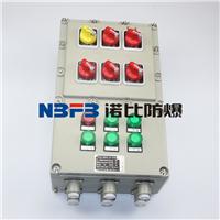 防爆配电箱 控制箱仪表箱防爆
