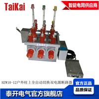 高压智能双电源真空断路器，6KV10KV全自动切换双电源开关