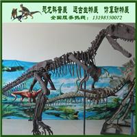 甲龙 大型仿真恐龙 恐龙化石 恐龙模型 恐龙骨架租赁