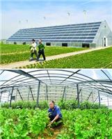 弘太阳 较新河南农业科技园光伏蔬菜大棚补贴政策分析、农业大棚国家补助、光伏农业大棚、分布式光伏发电、光伏发电项目