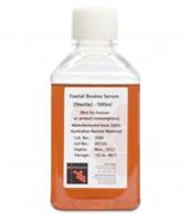 SH30079.03 透析型胎牛血清 FETAL BOVINE SERUM