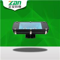 ZAD236 LED透光灯/LED泛光灯