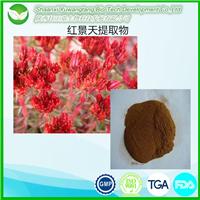 现货供应珍贵红景天提取物