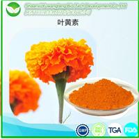 保护视力万寿菊提取物叶黄素