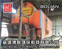 泰州兴化燃煤蒸汽锅炉改造生物质锅炉 推荐商家）