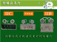 供应BAJ52防爆应急灯 防爆通道灯 消防**防爆应急灯