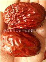 新疆和田大枣批发供应商