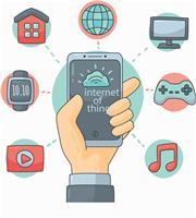 进口冷冻榴莲肉找青岛哪家报关行