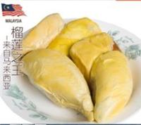 马来西亚榴莲肉进口报关代理