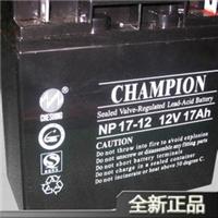 冠军蓄电池12V24AH产品/图片/报价/厂家直销