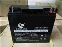 STECO法国时高蓄电池**TINE12-24铅酸12V24AHups直流屏**