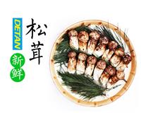 供应fresh mushroom食用菌 **菌Matsutake -松茸