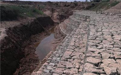 蜂巢固滨笼护坡 河道堤防治理固滨笼 热镀锌固滨笼生产厂家