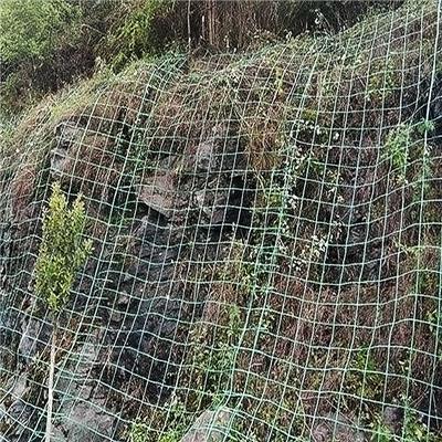 河北拓林 玻纤土工格栅 新老路搭接**土工格栅 生产厂家