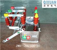 ZW8-12F/T630户外智能分界真空断路器出厂检验