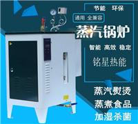 48KW/千瓦**全自动电蒸汽发生器