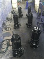 排污泵 广州排污泵 排污泵价格 无堵塞排污泵 排污泵选型