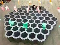 大型海洋活体生物展览出租 海洋展海狮表演出租
