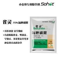 雀麦燕麦除草剂雀灵 氟唑磺隆批发 小麦除草剂氟唑磺隆 小麦杂草防治