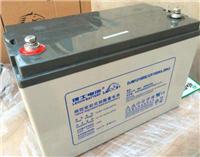 理士蓄电池DJM12100S全新价格免费安装