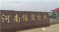 种鸽 肉鸽养殖 蔡王鸽 白王灰王银王落地王 乳鸽 鸽子蛋老鸽子