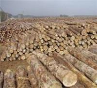 咸阳方木模板收售,咸阳竹胶板架板收售,柯睿物资回收