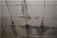 西安**防水堵漏公司-西安口碑好的堵漏公司-西安专业堵漏公司