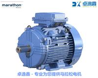 马拉松UL认证电机　CSA认证电机立式　marathon电动机立式