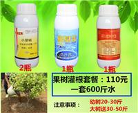 马铃薯疮痂病病原菌 防治要点