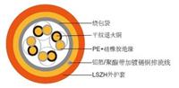 防火FTP三类数据电缆