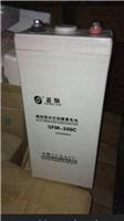 圣阳蓄电池GFM-200C良好代理价格