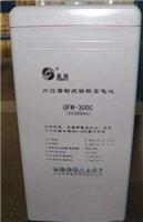 圣阳蓄电池GFM-300C原装现货