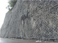 公路边坡生态防护