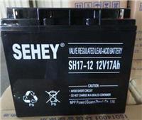 西力蓄电池SH17-12全新现货销售