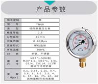 耐震压力表