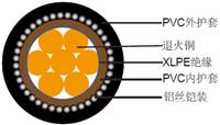 上海特润600/1000V XLPE绝缘, PVC护套, 铠装电力缆 单芯