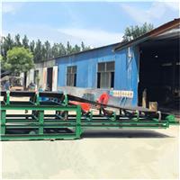 惠州带式提升输送机_ 按客户要求制作td带式输送机