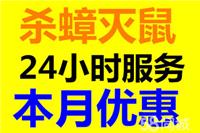 合同制上门灭蟑螂灭鼠一次消杀全年有效正规杀虫济宁