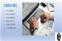 专业写资金申请报告的公司-有样本吗