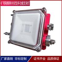 DGC18/127L矿用隔爆型LED支架灯